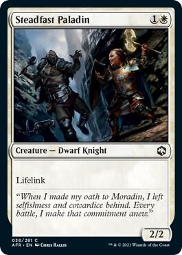 Steadfast Paladin - Adventures in the Forgotten Realms (AFR)