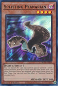 Image for Splitting Planarian (ROTA-EN100) (ROTA) - YuGiOh