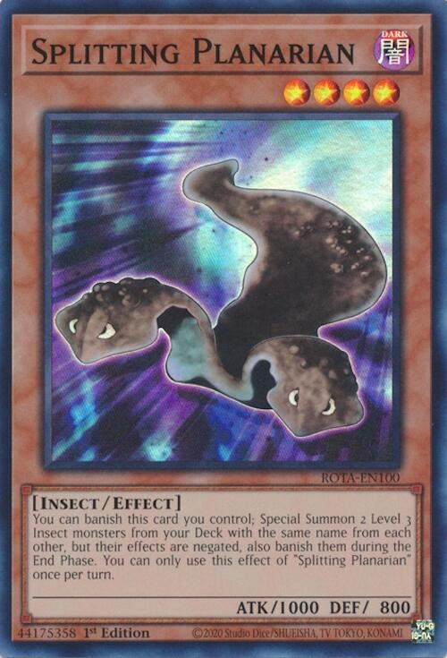 Image for Splitting Planarian (ROTA-EN100) (ROTA) - YuGiOh