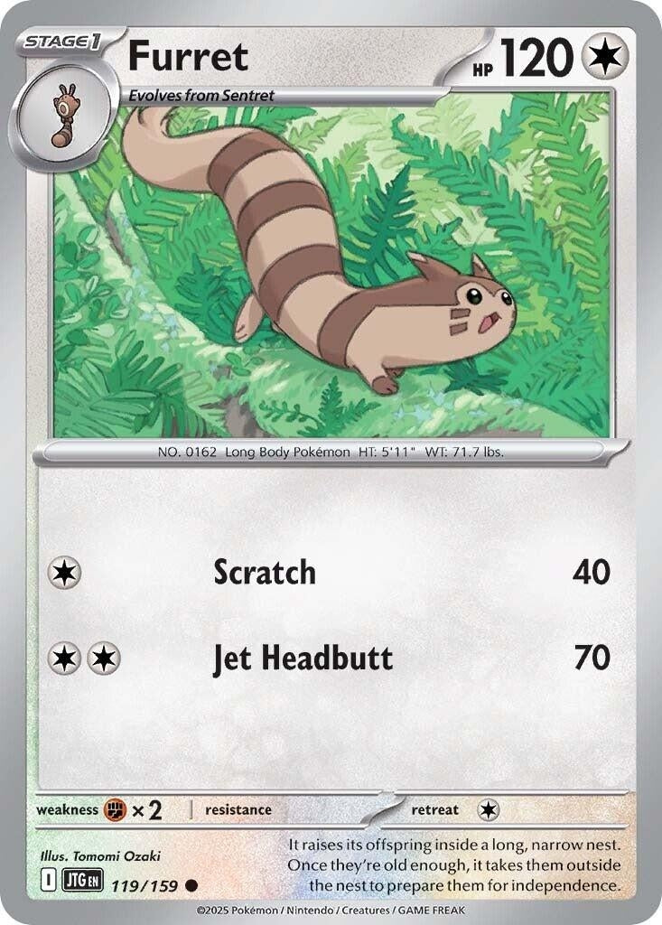 Image for Furret (119/159) (JTG) - Pokemon
