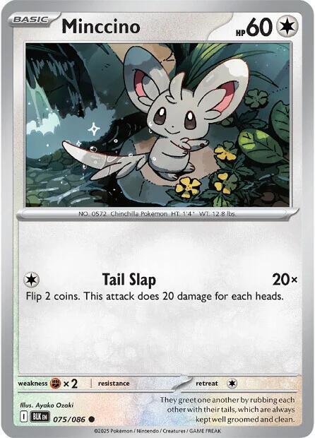 Minccino - SV: Black Bolt (BLK)